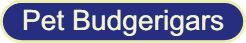 petsheader.gif (1750 bytes)